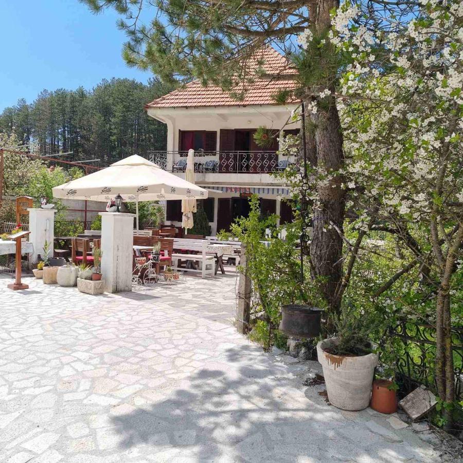 Porto Njegusi A2 Apartment Cetinje Bagian luar foto