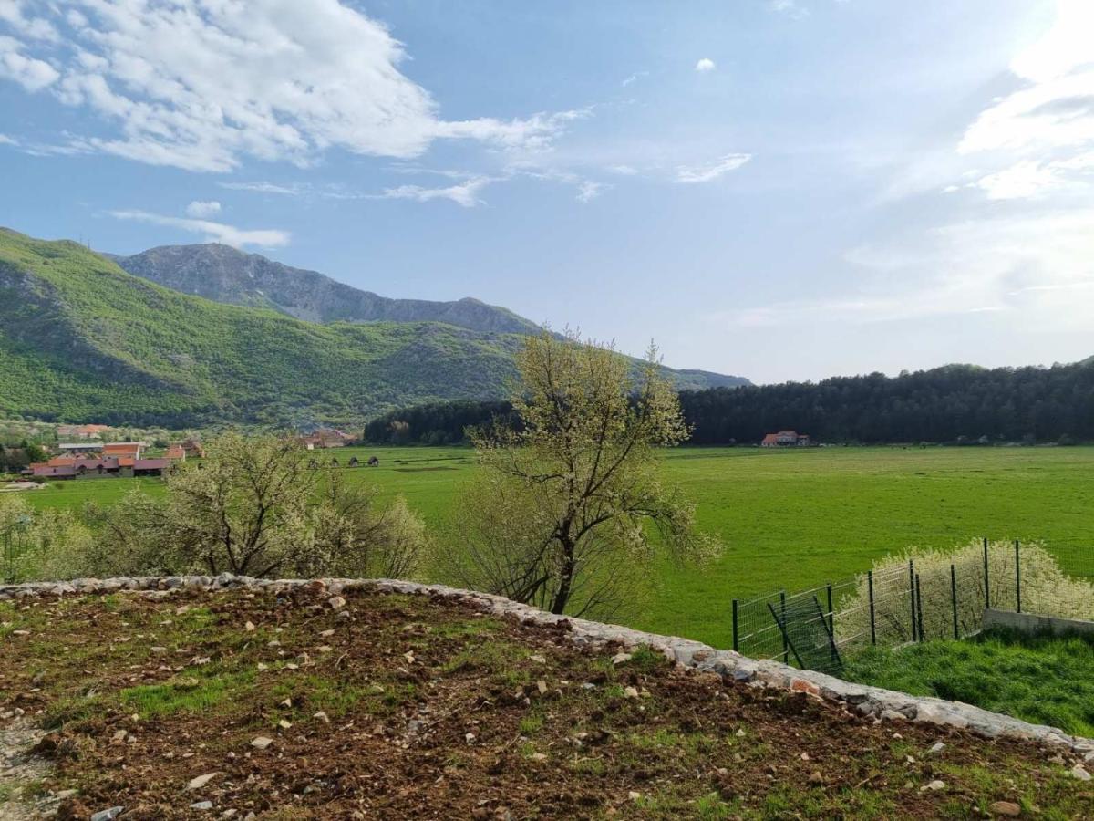 Porto Njegusi A2 Apartment Cetinje Bagian luar foto